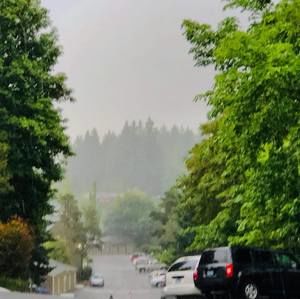 Meet your Posher, Samuel